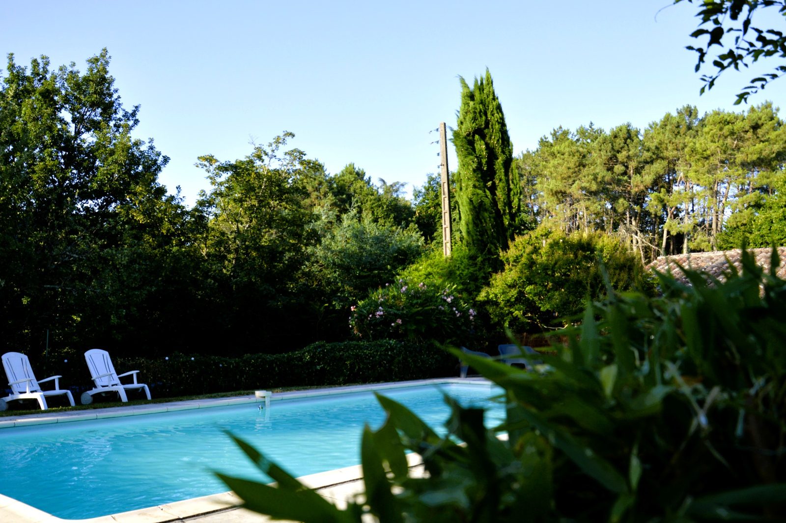 Piscine du gîte Lo Canto à Gaillac, au milieu du vignoble