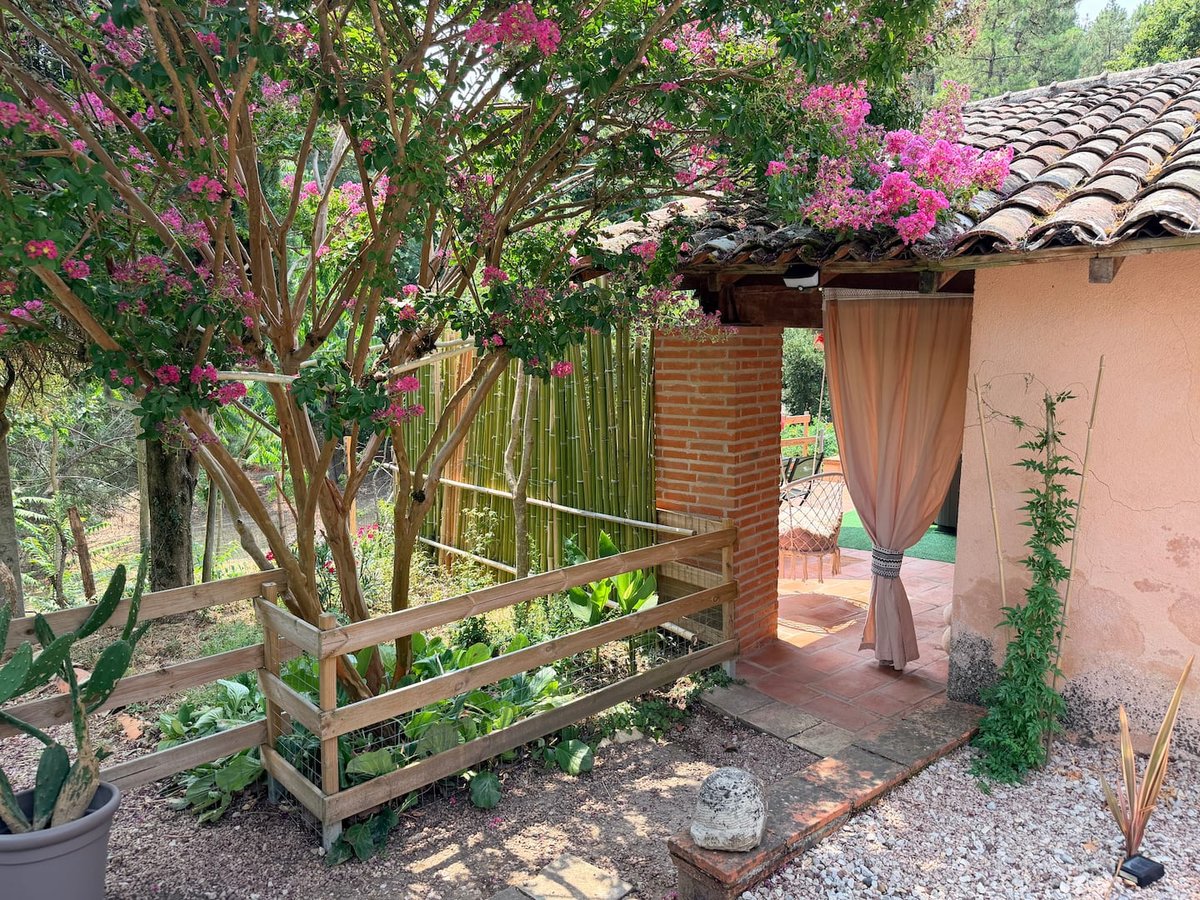 Lou Pitchoun's flower-filled entrance and its terrace with sheer curtains
