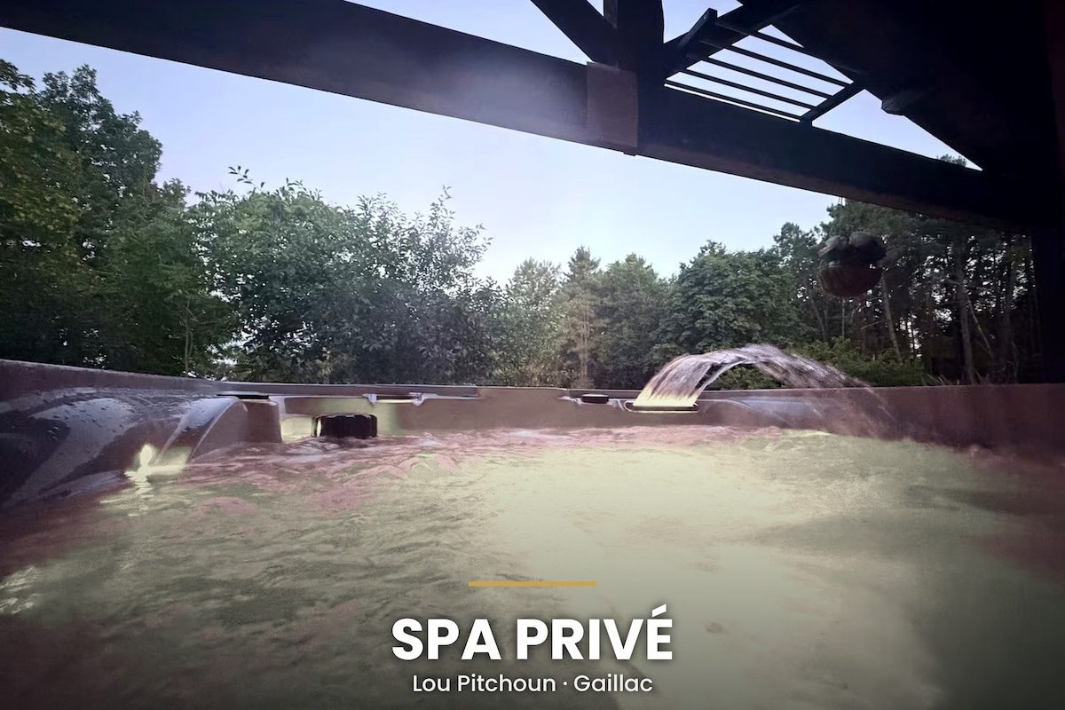 Lou Pitchoun, gîte avec jacuzzi privatif face aux vignes à Gaillac
