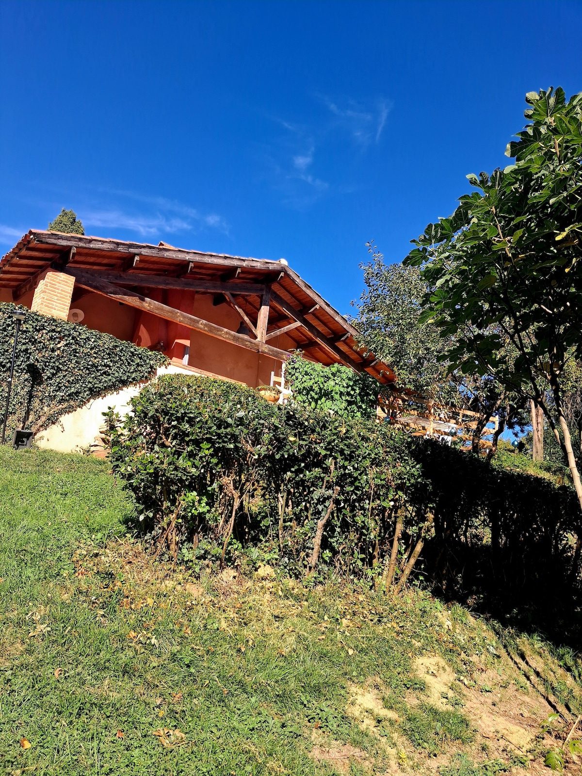 Terrasse ombragée de Lou Pitchoun avec hamac