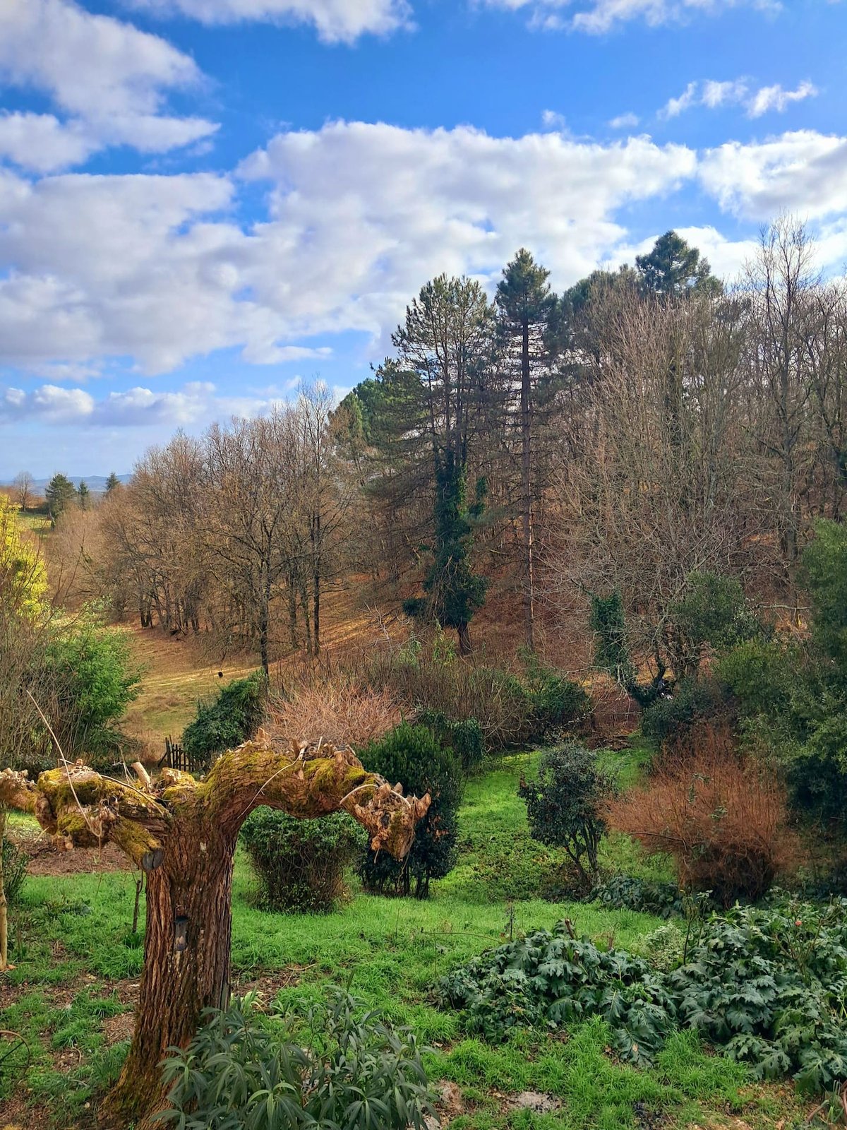 View over the Gaillac countryside from Lou Pitchoun
